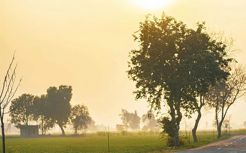 ਠੰਡੀਆਂ ਹਵਾਵਾਂ ਨੇ ਪੰਜਾਬ ‘ਚ ਲਿਆਂਦੀ ਰਾਹਤ, ਜਾਣੋ ਆਉਣ ਵਾਲੇ ਦਿਨਾਂ ਵਿੱਚ ਕਿਵੇਂ ਰਹੇਗਾ ਮੌਸਮ